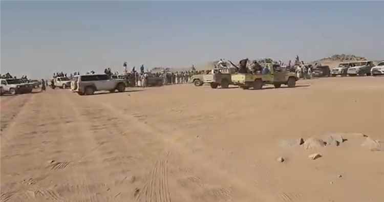 حشود قبلية ضخمة تصل إلى "نكف الكرامة".. أكثر من 300 سيارة تعلن دعمها للشيخ حمد فدغم