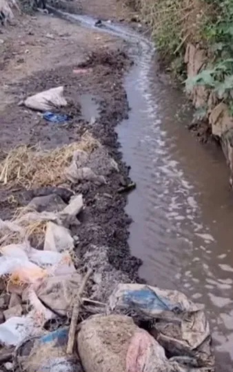 غضب شعبي في صنعاء .. اتهامات باستخدام مياه الصرف لري محاصيل تُباع في الأسواق