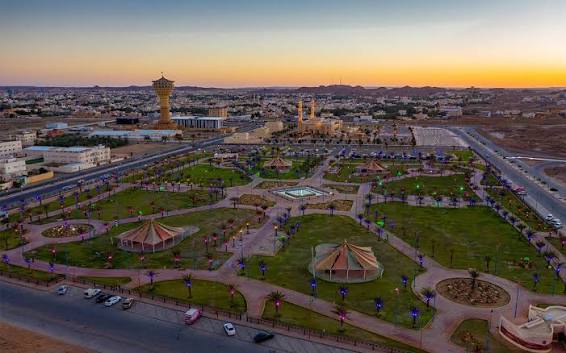 خبر سار يدخل الفرح إلى قلوب اليمنيين.. الجوف تحقق إنجازاً زراعياً غير مسبوق لأول مرة في تاريخ اليمن