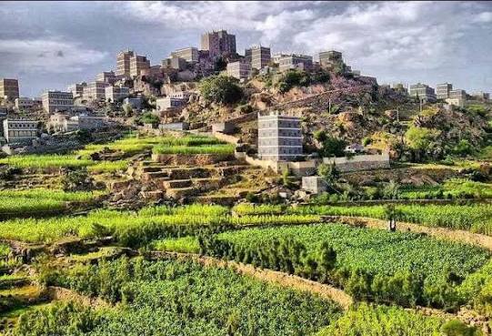 نقل ضابط يواجه اتهامات بالاعتداء على سجناء إلى السجن.. ومطالبات بتوسيع التحقيق في لحج