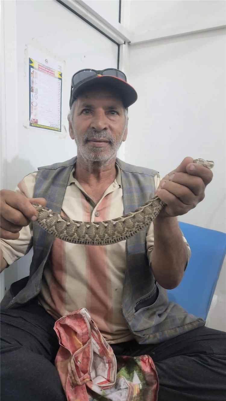 رجل يصل إلى مستشفى في إب حاملاً الأفعى التي لدغته.. والمشهد يثير الذهول